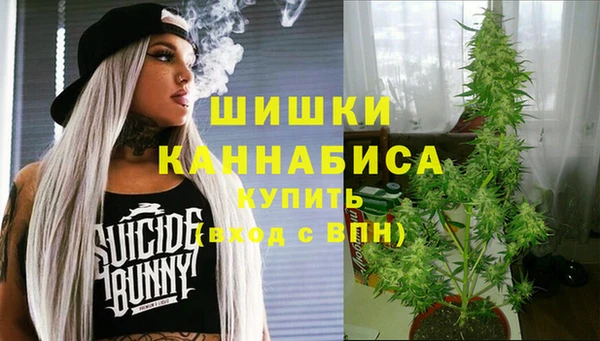 apvp Бронницы