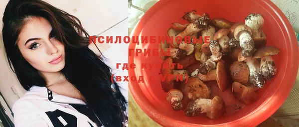 а пвп мука Бородино